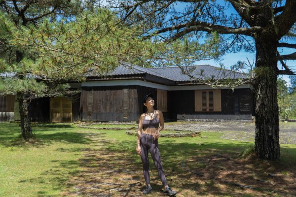 【鹿林山、麟趾山】夏日享受天然冷氣，散步欣賞玉山群峰和阿里山山脈2558778