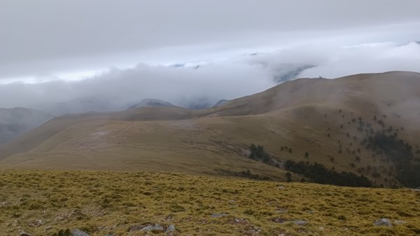 百岳:三叉山1979134