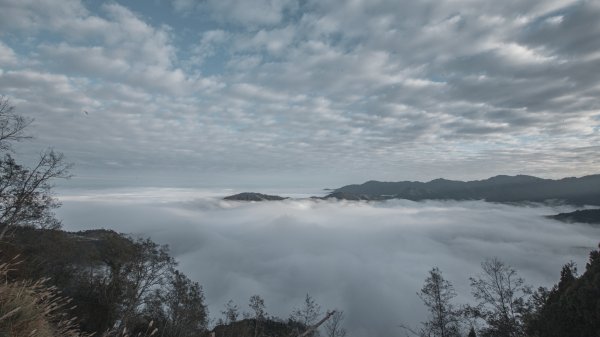 絕美的迷霧森林｜觀霧榛山步道2670044