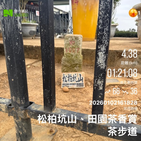 20260102松柏嶺登廟步道+松柏坑山、田園茶香賞茶步道+坑內坑森林步道2982914