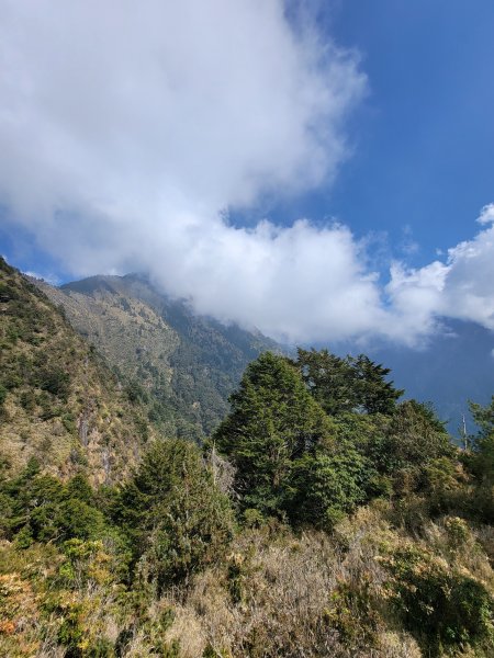 20260315-玉山前峰3018717