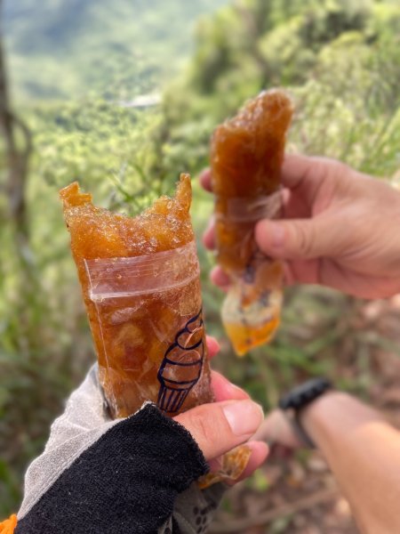 微笑山⛰️線-大棟-二格山-五分山-天上山-鳶山💎12條步道完成💙2841446