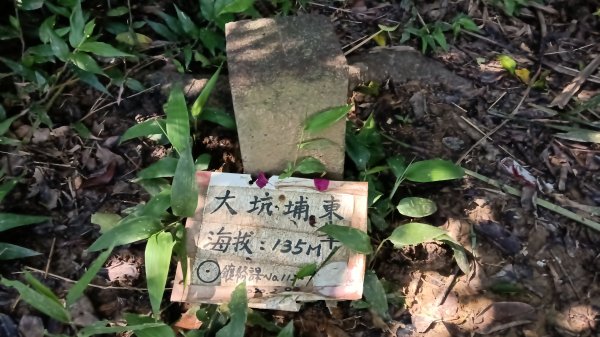 瑞芳區瑞竹步道-大坑埔山-月眉砲台-月眉山-長命山-大水堀山3081558