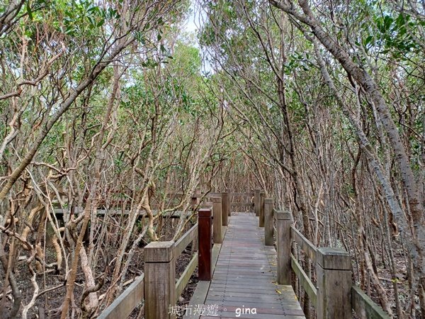 【新竹新豐】台灣唯一建有觀賞步道的生態保護區。 新豐紅樹林生態保護區2381808