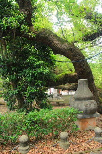 挑啊挑! 挑過山道 20190606759155