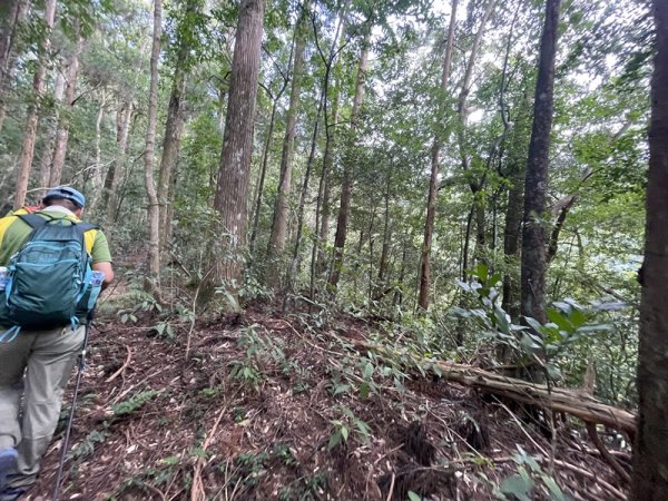 熊空紅河谷越嶺古道2916301
