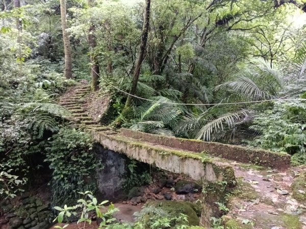 平溪區善覺寺步道+畝畝山北稜線+畝畝山+石硿子瀑布+灰窯瀑布O型2939996