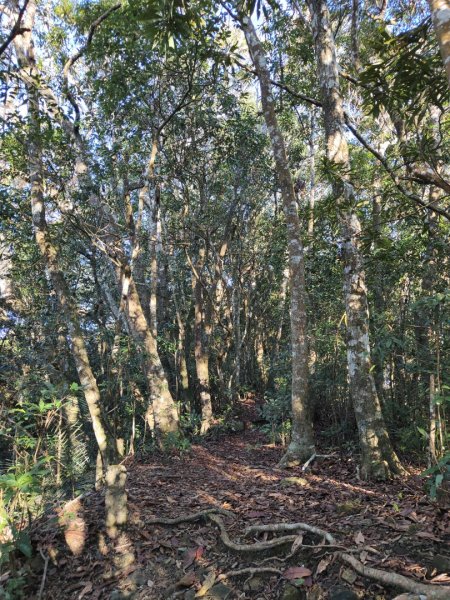 2024.02.01 凌空廊道登煤源山2843953