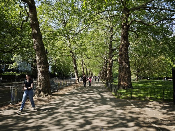 2025_0428 倫敦馬拉松順遊西歐 D10b(白金漢宮)2795172