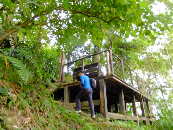 小山美學：新店小獅山步道886801