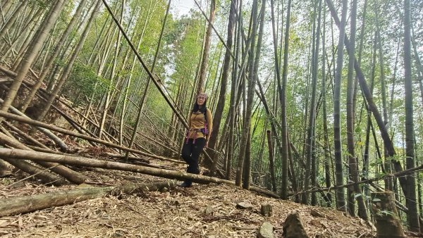 肥大醜三崠連走，鳶嘴西陵上鳶嘴山2650329