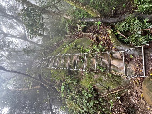 皇帝殿202603293035827