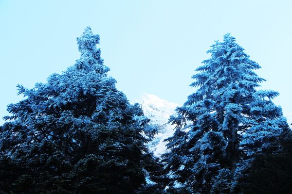 玉山  風雪後 , 另一番美景 !224480