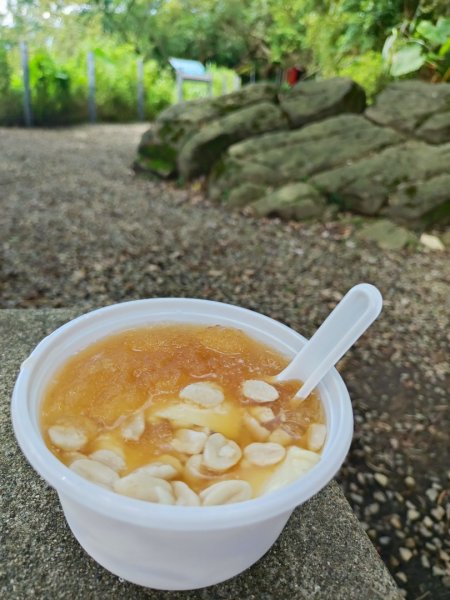 福源山步道-鶯歌大榕樹平台2847766