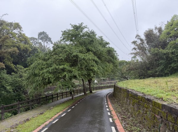 [樟之細路_第一大段RSA01] 2026_0329 三坑子自行車道3026686