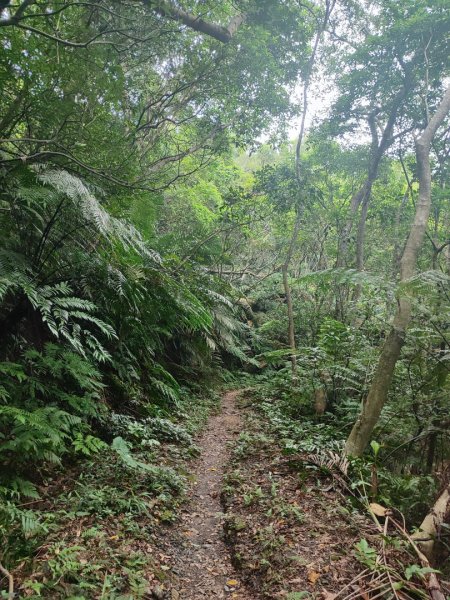 微笑山線之烘爐地土地公段2849198