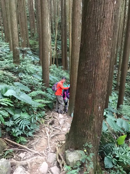 加里山鹿野線461340