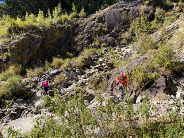 小關山林道上小關山1550016