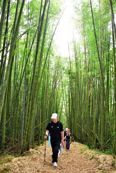 20260805阿里山石棹大凍山攀登3097054