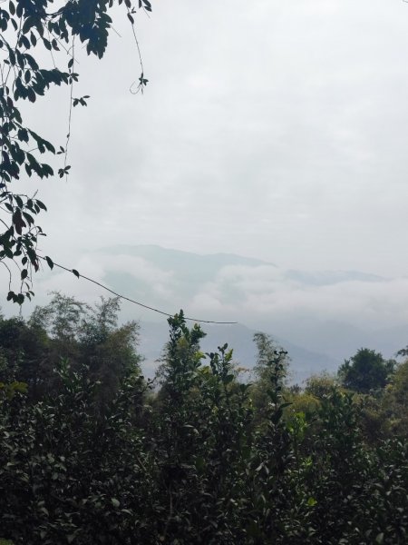 飛沙龍逆走2988873