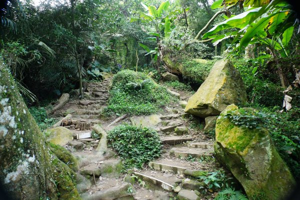 桃園 大溪 新溪洲山、溪洲山、林嵩壽山、內湳溝山、頭寮山3006197