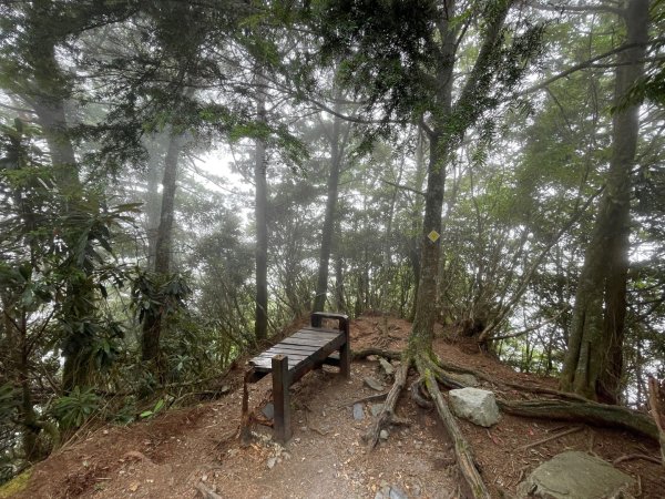 谷關七雄 《 馬崙山 》2025 09/062879780