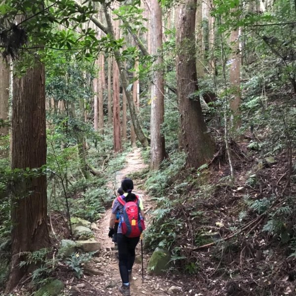 加里山鹿野線461431