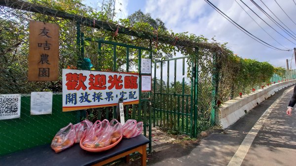 台北大縱走第一段1249161