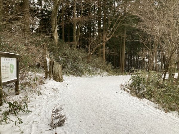 4 大阪金剛山全記錄2711094