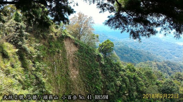 大坑2號/5號二登頭嵙山409097