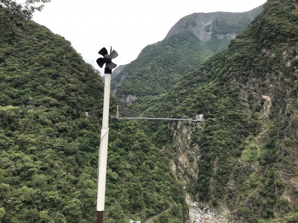 布洛灣&環流丘步道&山月吊橋1445037