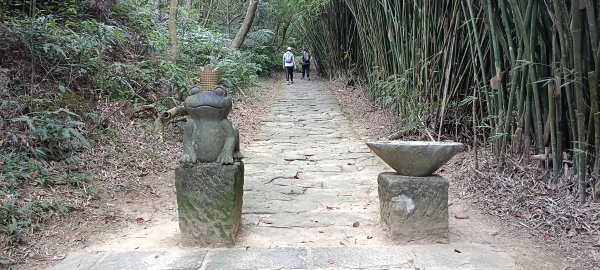 2024/09/07-大崙頭尾山親山步道2589356