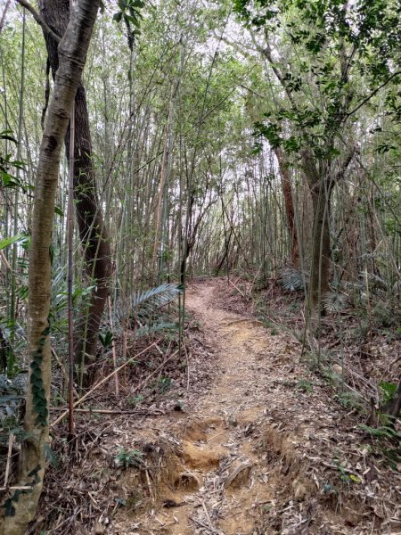 【新竹縣芎林鄉】文林古道2833077