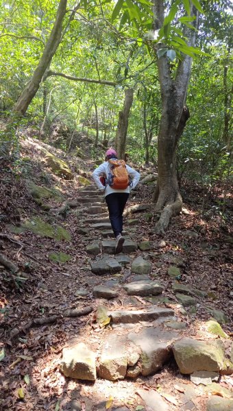 (姨婆趴趴走)第五十四集:攀登台北內湖剪刀石山、金面山2775886