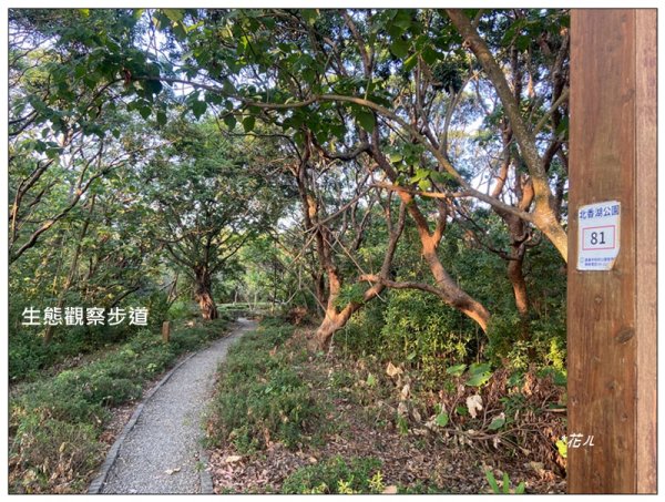 北香湖步道 ( 嘉義市 )3016244