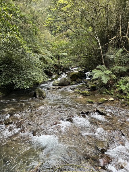 新北市 雙溪區 燦光寮古道-草山戰備道-貂山古道環形2044268