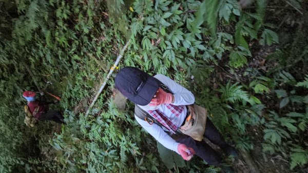 復興三尖老么之那結山1520m(嘎色鬧上)全紀錄2915480