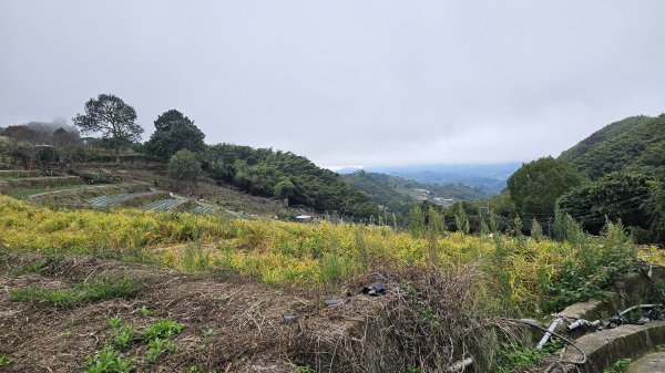 【馬年走馬山，馬到就成功！】🐴馬年馬路要走，馬那邦🏔️也要登！O繞11K，爬升900M，🥾腿在2977159