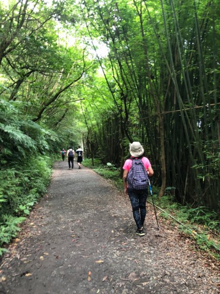 療癒系抹茶山，小百岳三角崙山，五峰旗瀑布1029787