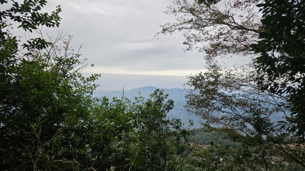 暗影山三進三出2366581