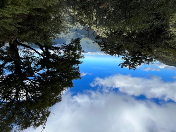 20231127_觀霧榛山步道（森遊竹縣）2763099