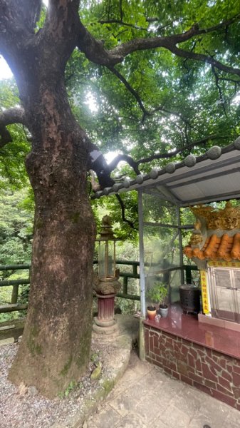 淡蘭古道北中南路全段共15段2826425