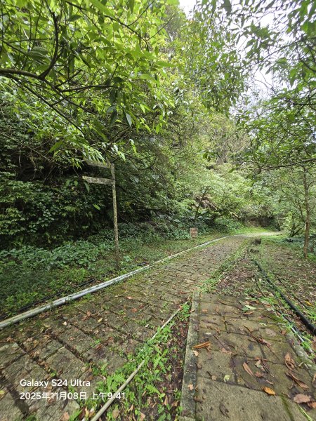 2025-11-08微笑山線：【五分山系】菁桐煤礦段2932709