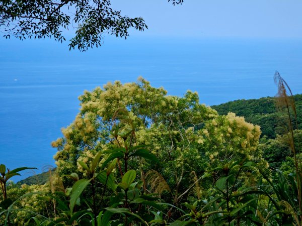 加奈美山-小百岳#95-台東縣大武鄉2776997