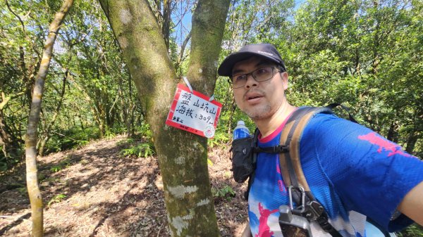 20260507磐山坑山-土地公山-474峰-上下內平林山-大坑山下灣穹3051458