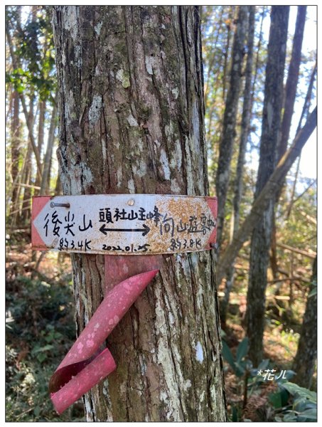 頭社山主峰及基點峰(社頭山)2681592