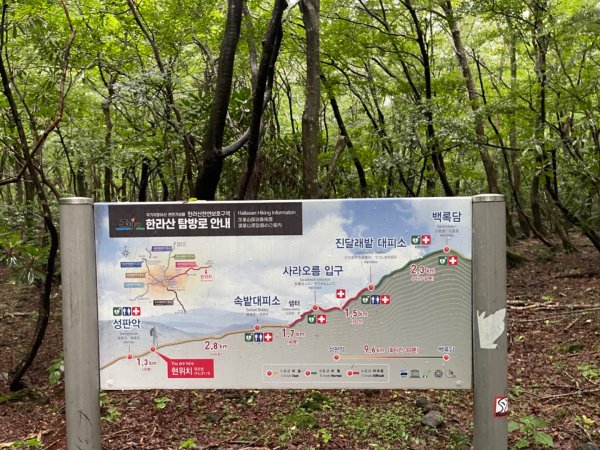 1140811 KR 漢拏山杜鵑花田避難所-紗羅岳觀景臺2860094