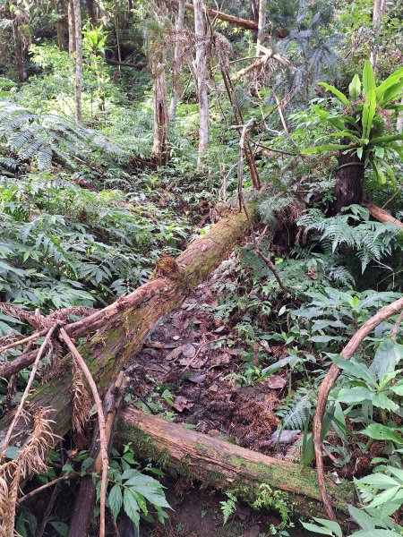 仙山古道群峰O型2693640