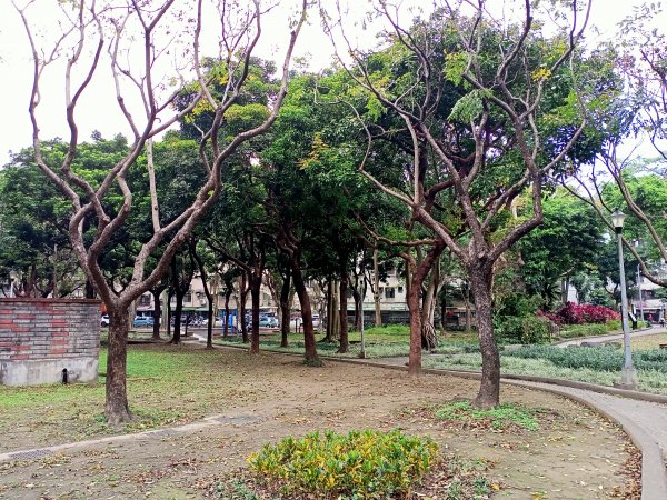 春暖花開的內湖文德三號公園、瑞陽公園、大港墘公園【齊心鞋力向前走】2025365