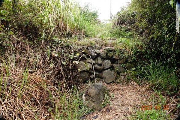 臺中 和平 馬武佐野郡山1894245